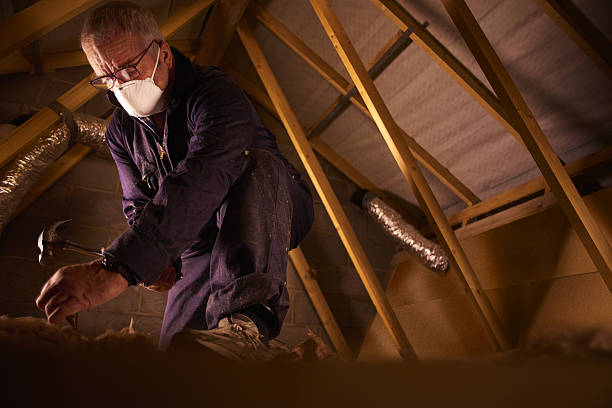 Best Eco-Friendly Insulation in St Marys, WV